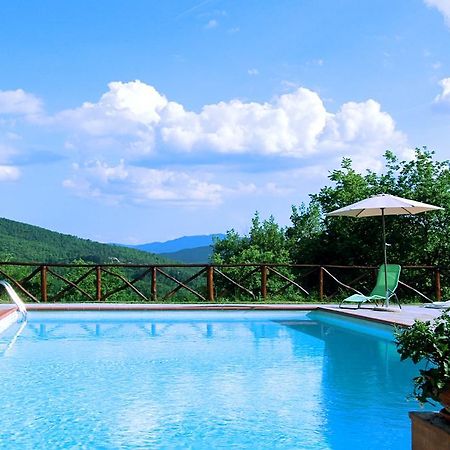 Agriturismo Badia Ficarolo Palazzo del Pero 外观 照片