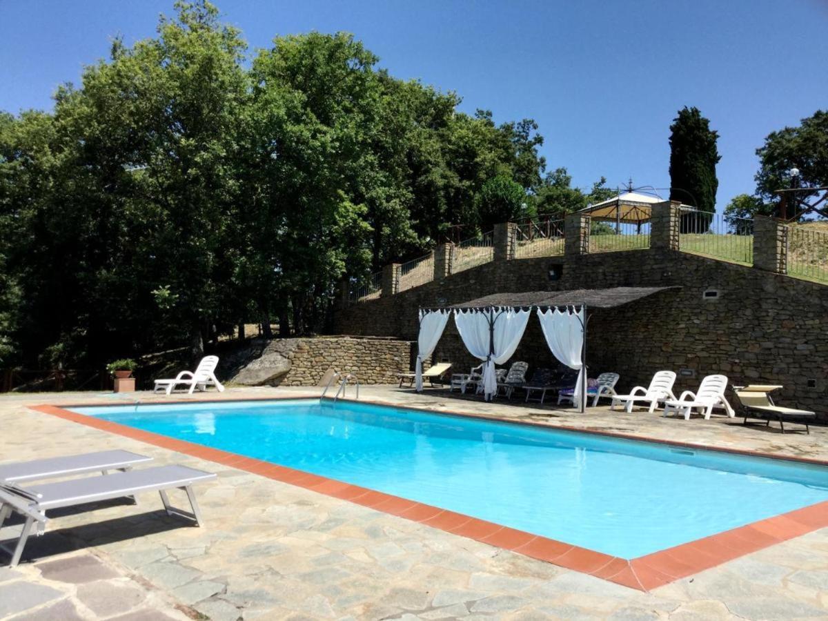 Agriturismo Badia Ficarolo Palazzo del Pero 外观 照片