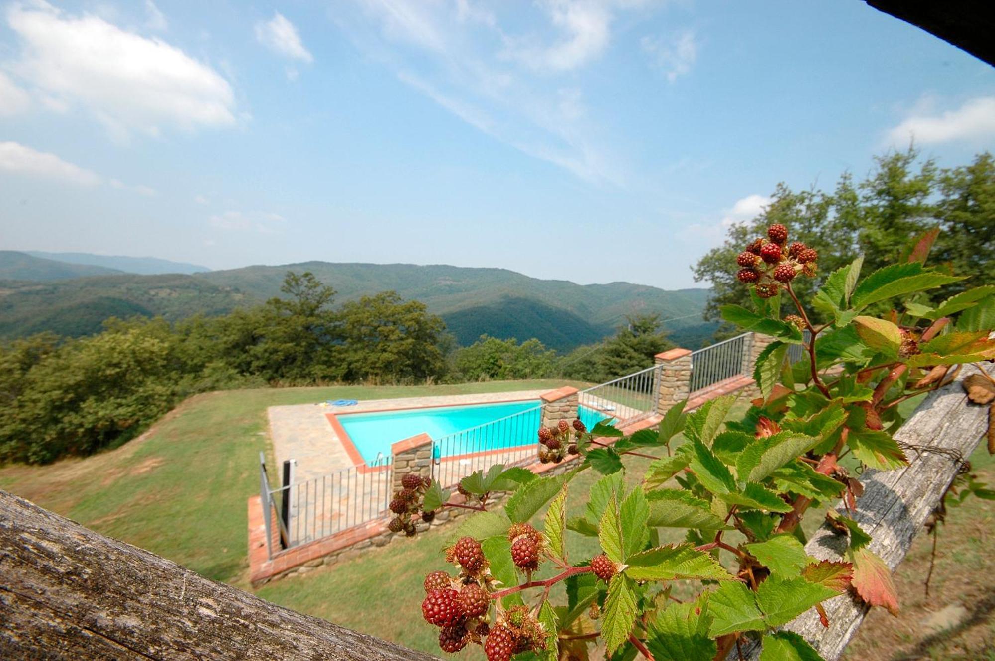 Agriturismo Badia Ficarolo Palazzo del Pero 外观 照片