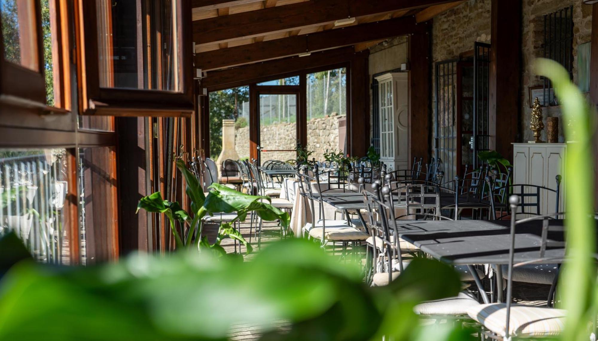 Agriturismo Badia Ficarolo Palazzo del Pero 外观 照片