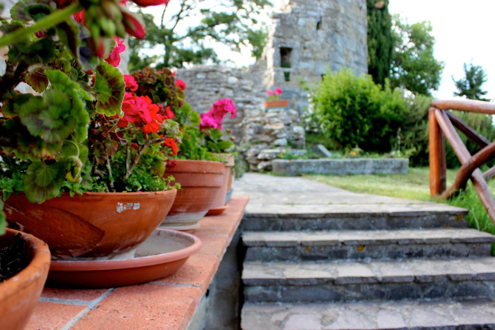 Agriturismo Badia Ficarolo Palazzo del Pero 外观 照片
